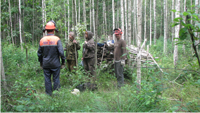 МЕТОДИЧЕСКИЙ ДОКУМЕНТ «РЕКОМЕНДАЦИИ ПО ВОССТАНОВЛЕНИЮ ШИРОКОЛИСТВЕННЫХ ЛЕСОВ»